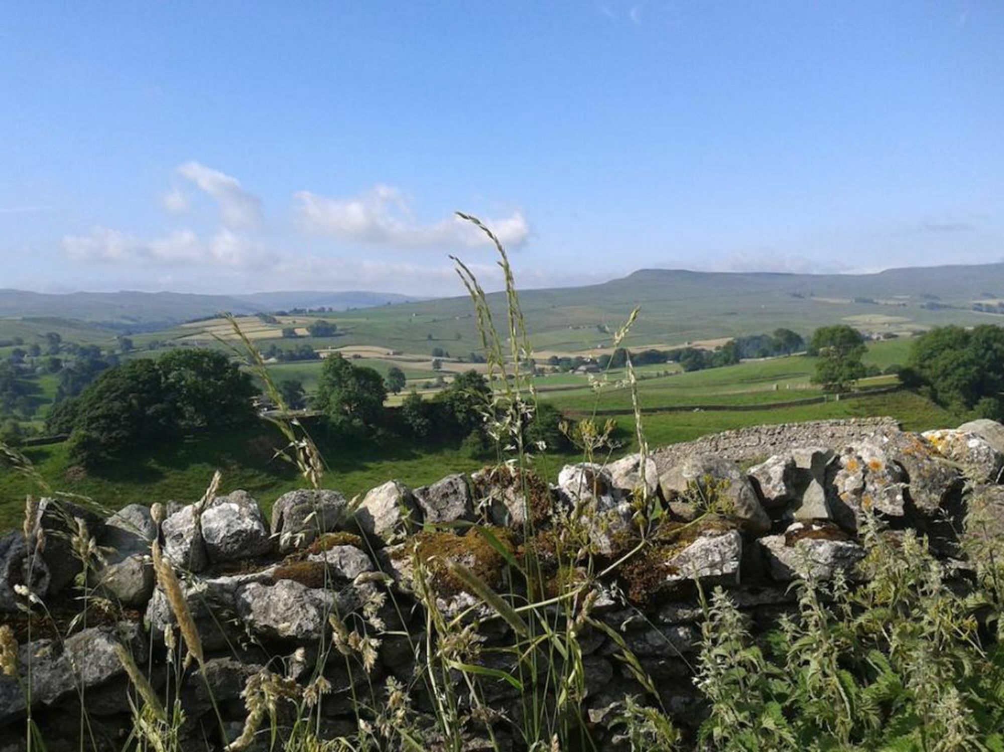 Thornsgill House Bed & Breakfast Askrigg Eksteriør bilde